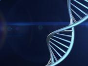 windows repair软件