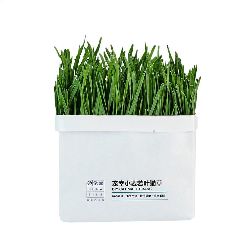 bobo网页版V9.6专业版