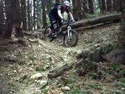 偷鸡小分队三合一