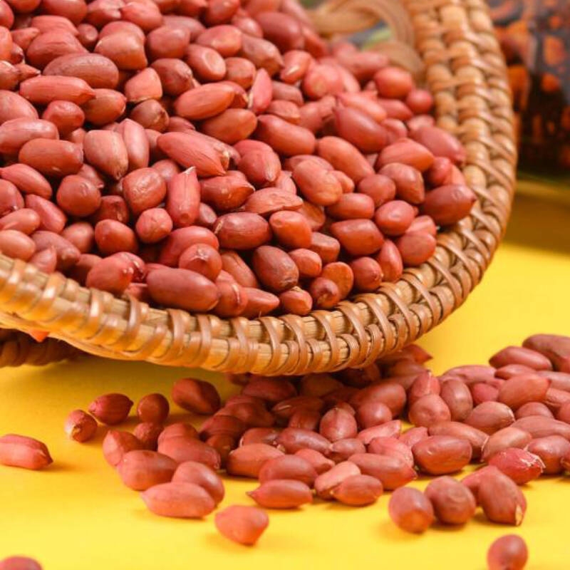 乐鱼体育appV8.1专业版