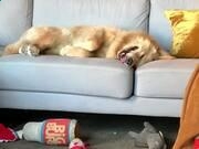 易潜(潜水综合平台)