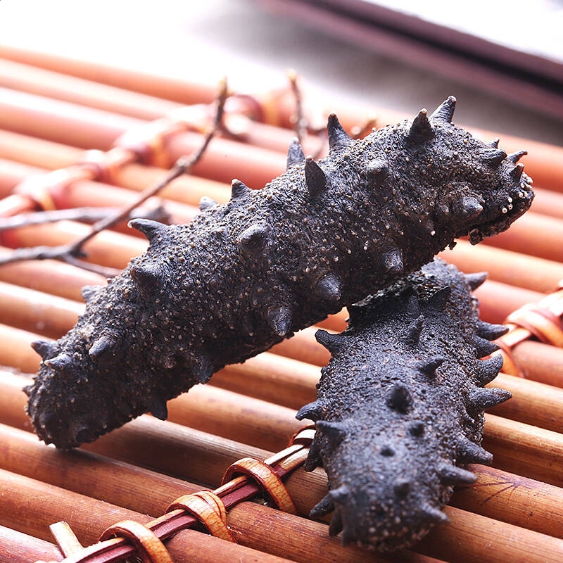 东赢安卓版二维码