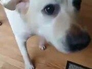 云开体育app网页版入口官网登录V8.5专业版