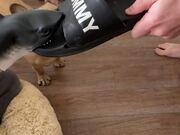 亿彩appV7.8专业版