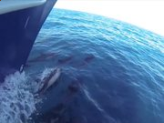 魔豆精灵改键工具