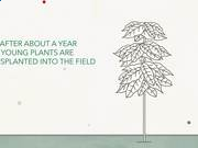 BD体育appV7.2专业版