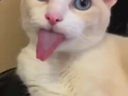 虎牙体育appV3.3专业版