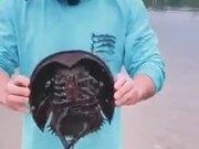 YGR捕鱼app安卓版二维码