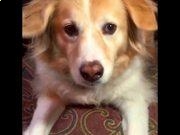 PHP Manager for IIS 7(IIS7配置PHP)