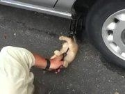 NG体育官方下载V8.9专业版