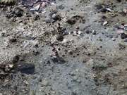 开云app苹果版官网入口2025最新版宇宙基地场景