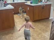 9.99appV6.5专业版