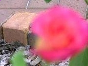 kaiyun体育手机版登陆V3.8专业版