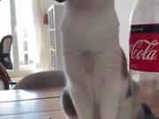 28娱乐appV9.1专业版