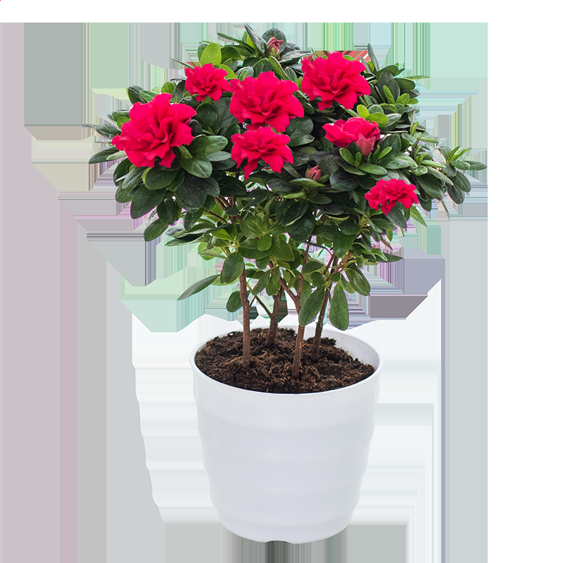 kai云彩票入口 2025最新版 蟹坞基地界面