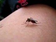 Doro PDF Writer(虚拟打印机)