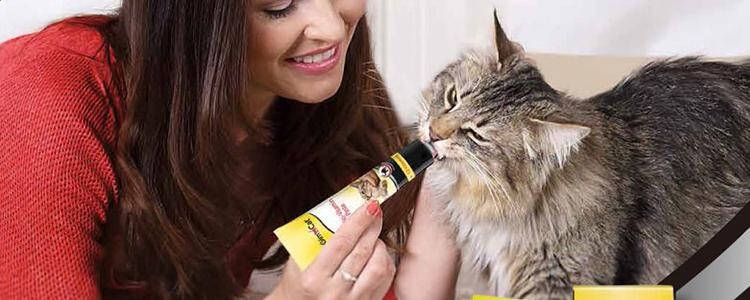 Kaiyun体育登录2025最新版武将阵容搭配界面