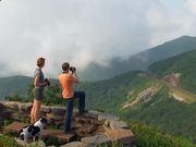 河南汽车维修平台APP