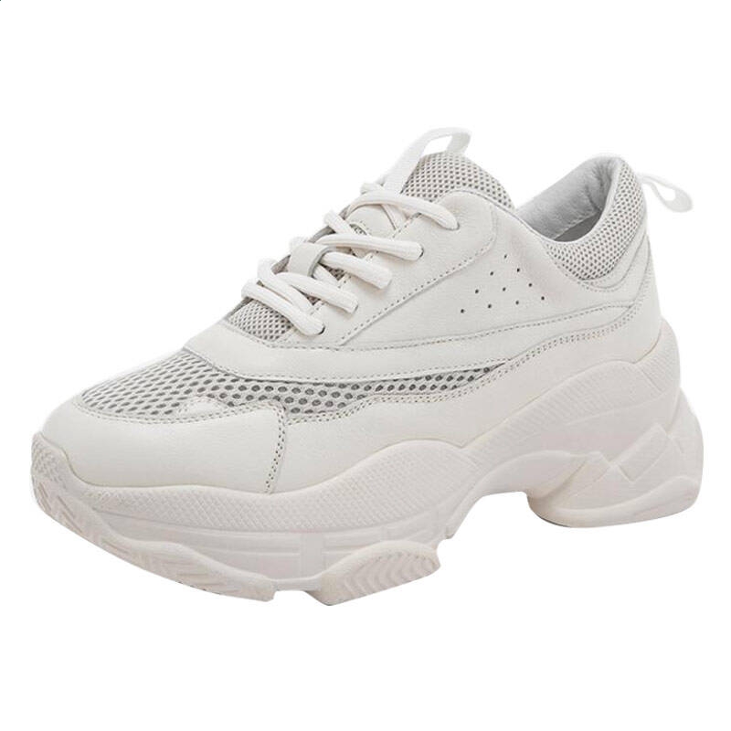 开云app官方体育appV4.1专业版