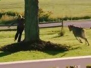 合乐官方网页2025最新版宗门建设界面