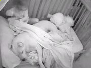 通博appV6.7专业版