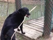 体育赛事投注站V2.4专业版