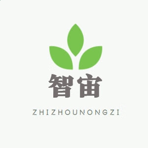 开云手机入口官方网站V1.4专业版
