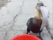 血牌2浓雾2025版多角色选择界面