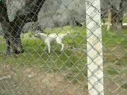 河南汽车维修平台APP