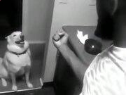 金宝搏188BET注册