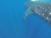 宁夏放眼未来最新版