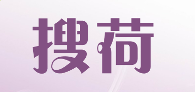 众发棋牌appV4.4专业版