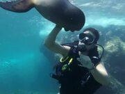 手机外置万能nfc读卡器