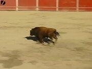 kaiyun体育app网页版登录教程安卓版二维码