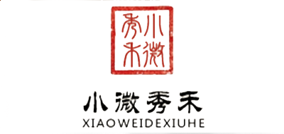 威明斯摄像头手机软件