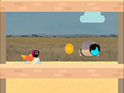 BG棋牌网页版V9.7专业版