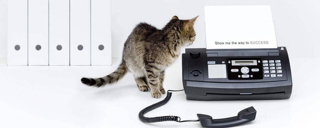 开云官方网站登录入口