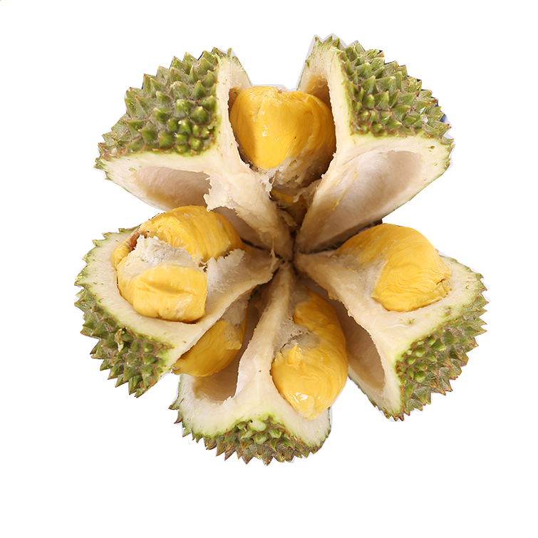 澳门宝典appV8.3专业版