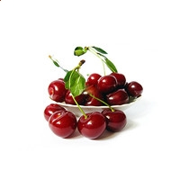 百度版宝可萌原生