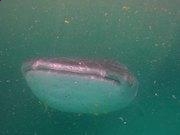 kaiyun体育官方登录地址V1.4专业版