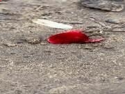 28体育appV8.4专业版