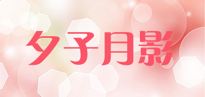 四季appV1.8专业版