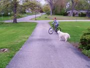 ko体育网页版V6.7专业版