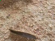 皇家赌场app安卓版二维码