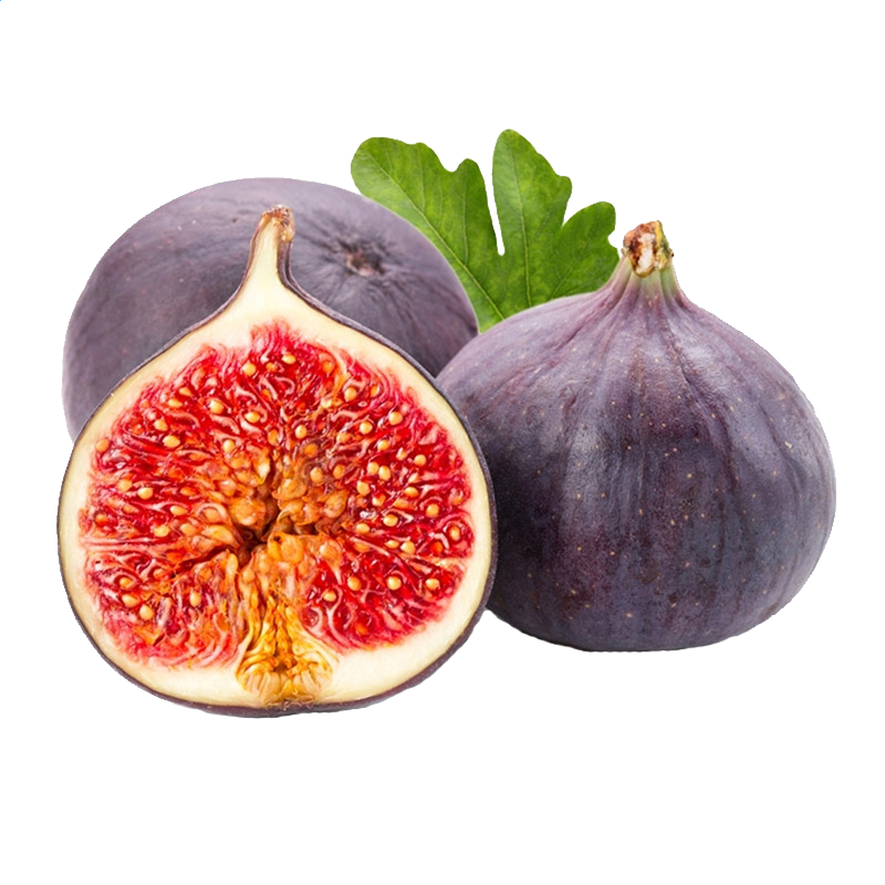 开云kaiyun官网下载