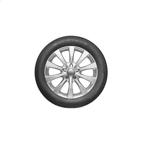博鱼体育app官网入口V6.8专业版
