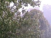 河南汽车维修平台APP