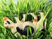 galaxy银河娱乐场appV1.2专业版