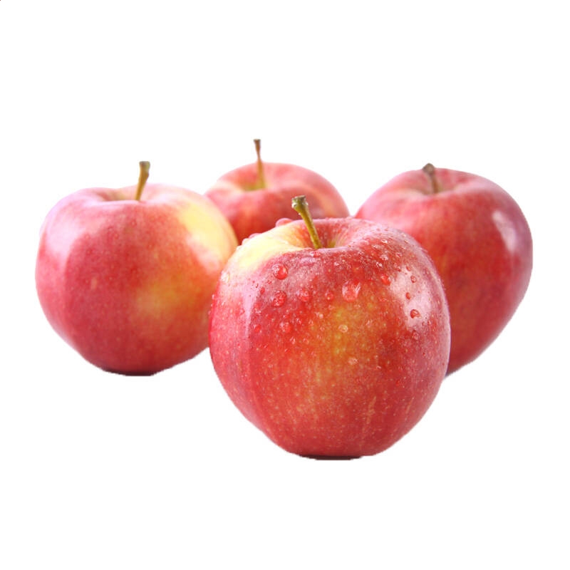 河南汽车维修平台APP