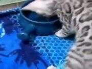 半岛·BOB网页版V9.2专业版